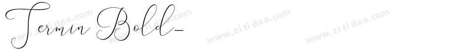 Termin Bold字体转换